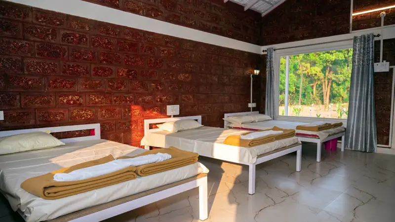Dandeli Mango Mist gallery
