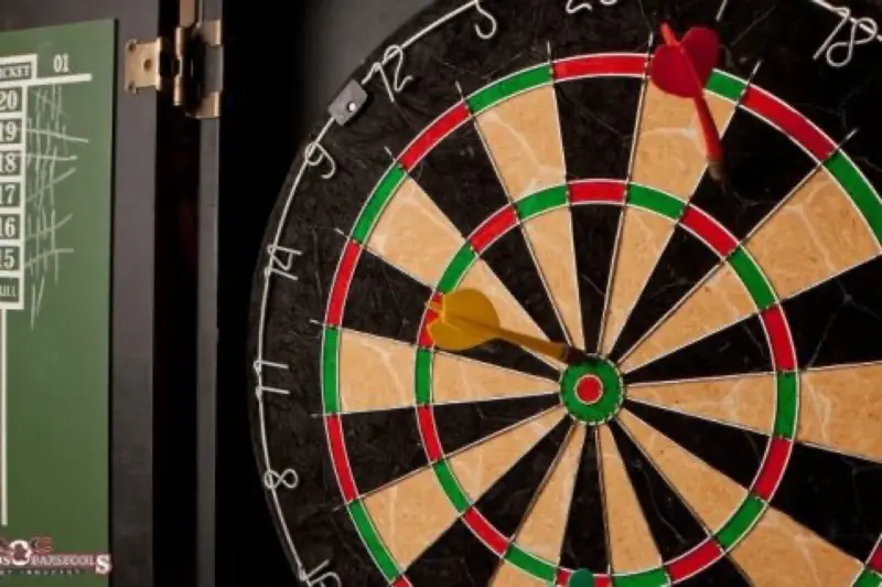 Dart in Dandeli