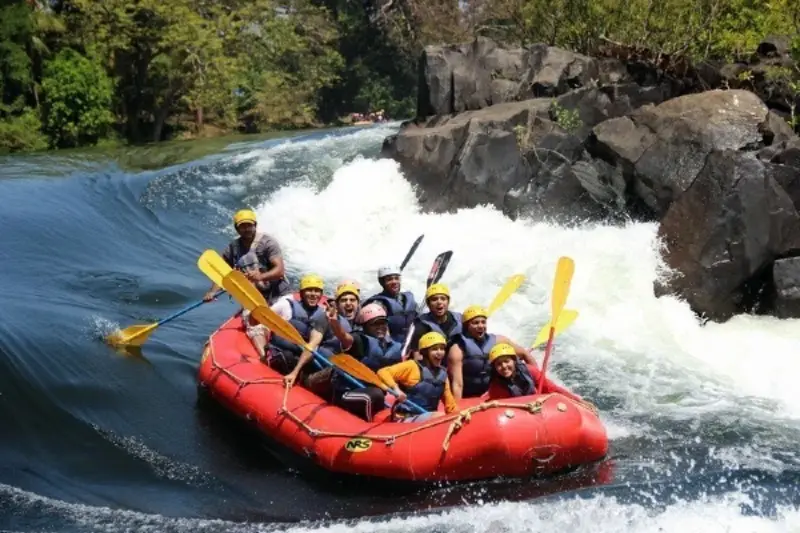 Dandeli Mango Mist gallery